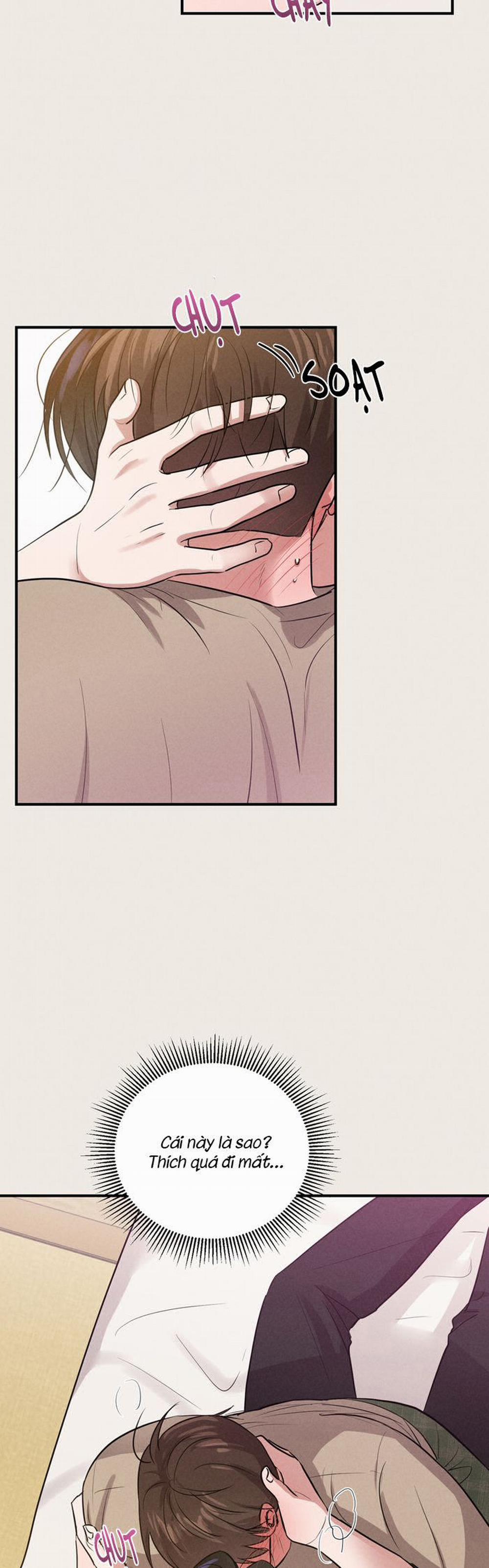 Báo Cáo Thanh Xuân 1995 11 trang 20