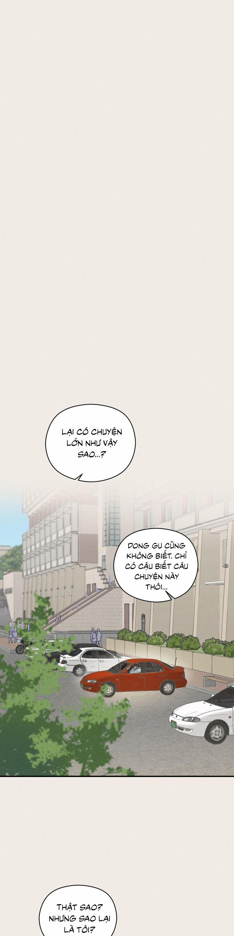 Báo Cáo Thanh Xuân 1995 12 trang 17