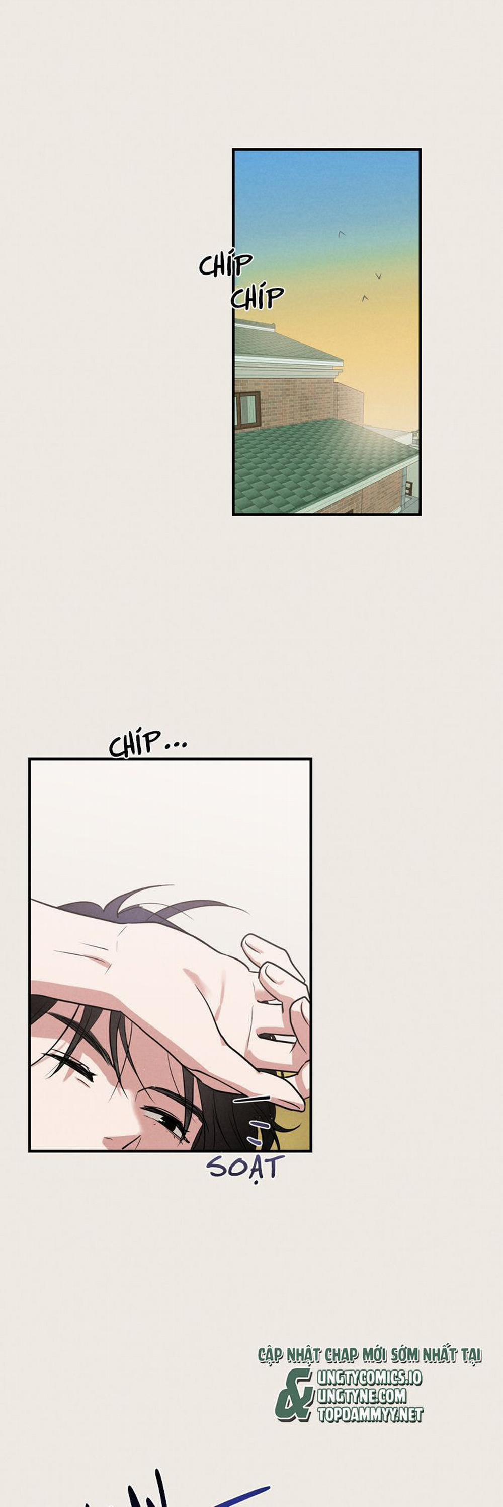 Báo Cáo Thanh Xuân 1995 4 trang 22