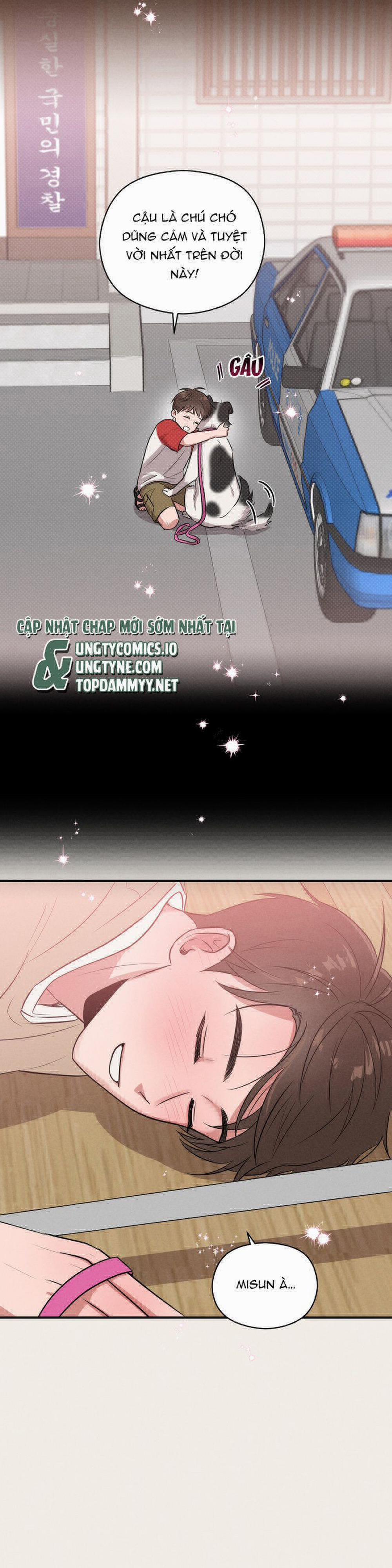 Báo Cáo Thanh Xuân 1995 6 trang 19