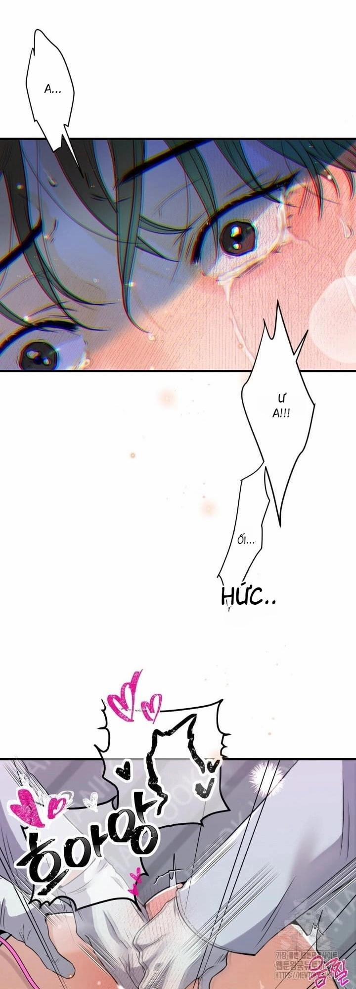 Báo Cáo Thu Thập Dữ Lệu Về Tuyến Tiền Liệt 3 trang 89