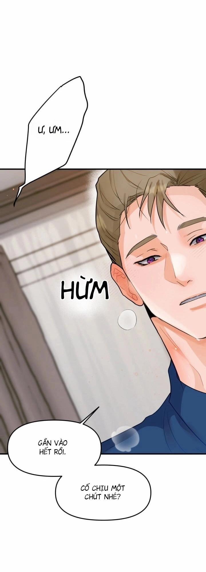 Báo Cáo Thu Thập Dữ Lệu Về Tuyến Tiền Liệt 4 trang 19