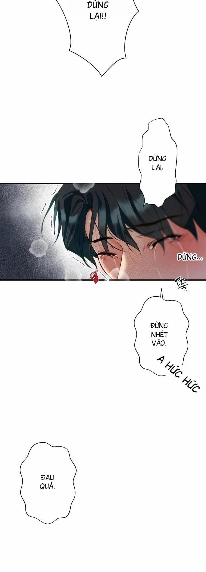 Báo Cáo Thu Thập Dữ Lệu Về Tuyến Tiền Liệt 4 trang 24