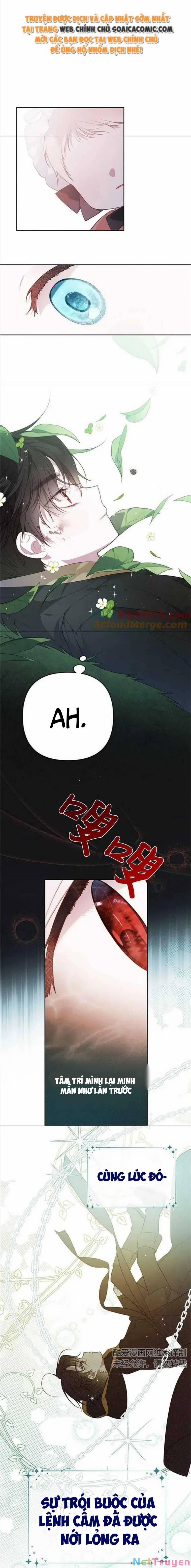 Bạo Quân Baby 11.2 trang 4