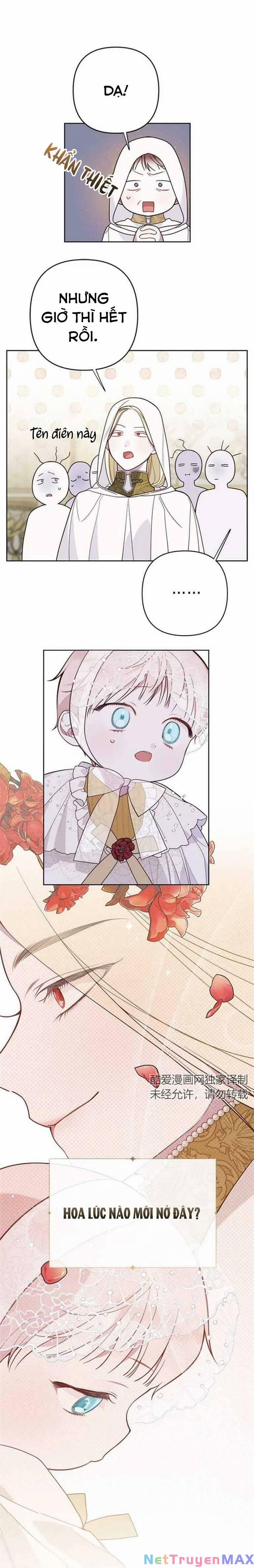 Bạo Quân Baby 21.1 trang 6