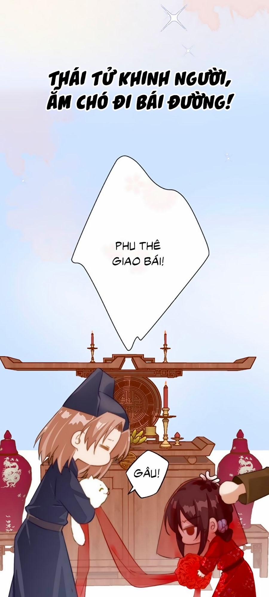 Bạo Sủng Tiểu Manh Phi 0 trang 9