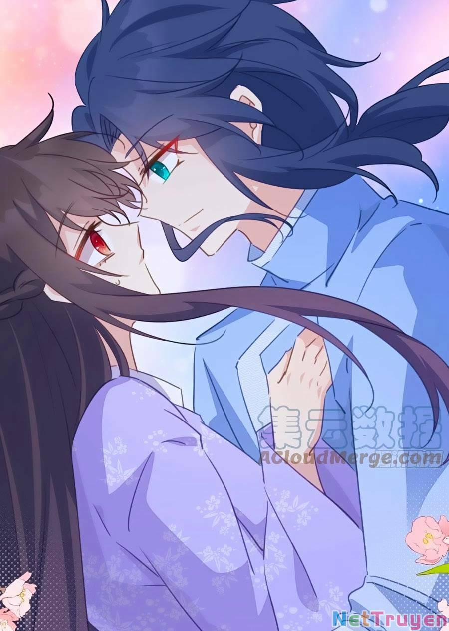 Bạo Sủng Tiểu Manh Phi 106 trang 13