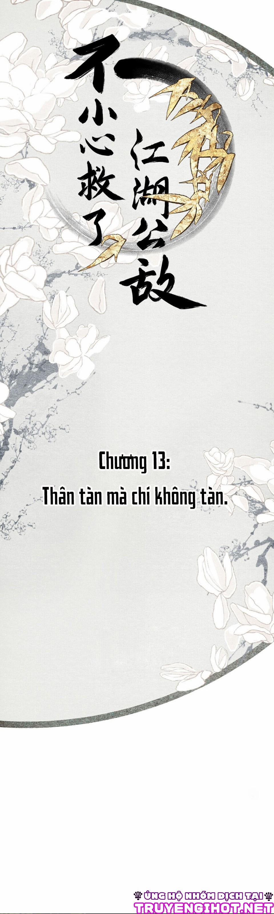 Bất Cẩn Cứu Nhầm Kẻ Thù Của Võ Lâm 13 trang 0