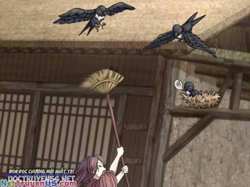 Bắt Đầu Livestream Ở Địa Phủ: Phát Sóng Trực Tiếp Ở Đây Ai Dám Đến 146 trang 11