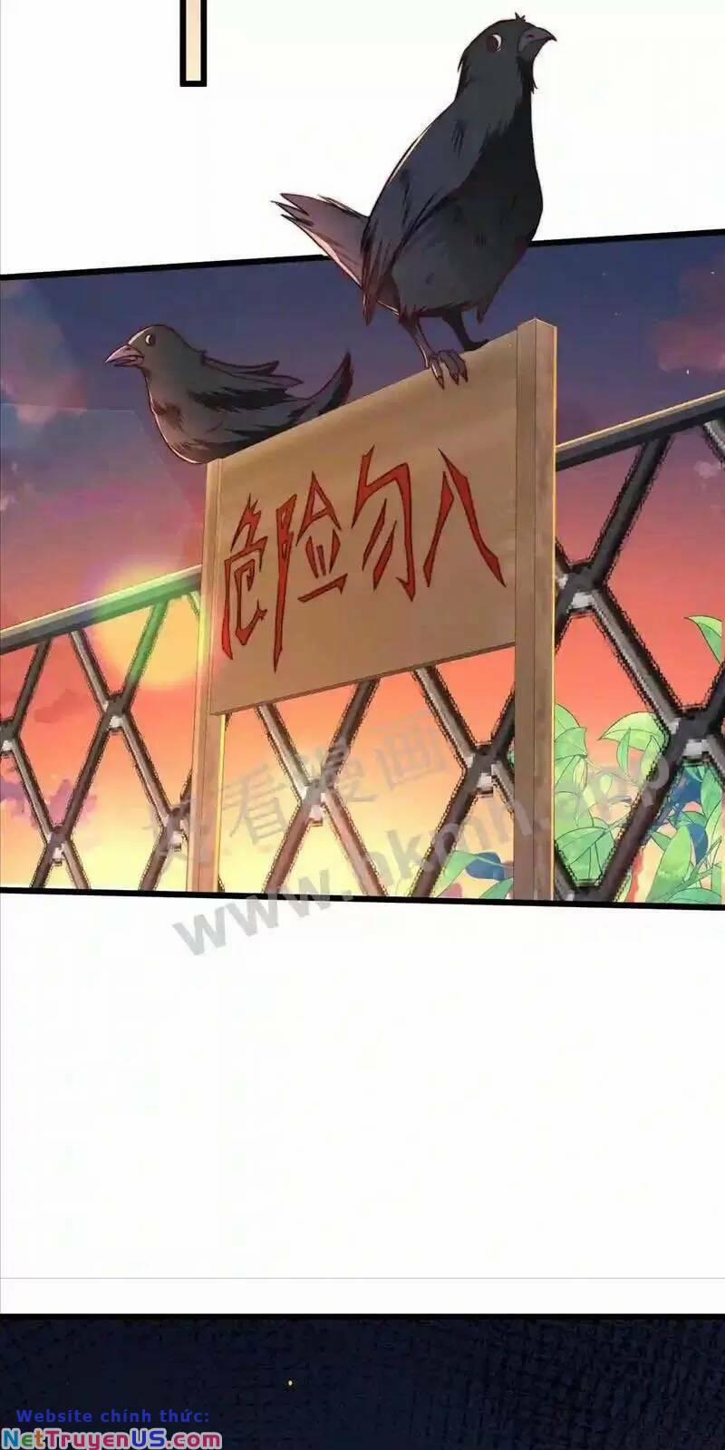 Bắt Đầu Livestream Ở Địa Phủ: Phát Sóng Trực Tiếp Ở Đây Ai Dám Đến 24 trang 9