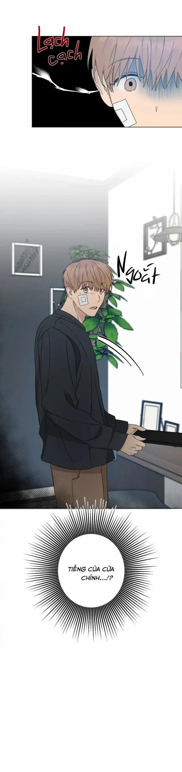 Bắt Đầu Sống Chung 10.5 trang 9