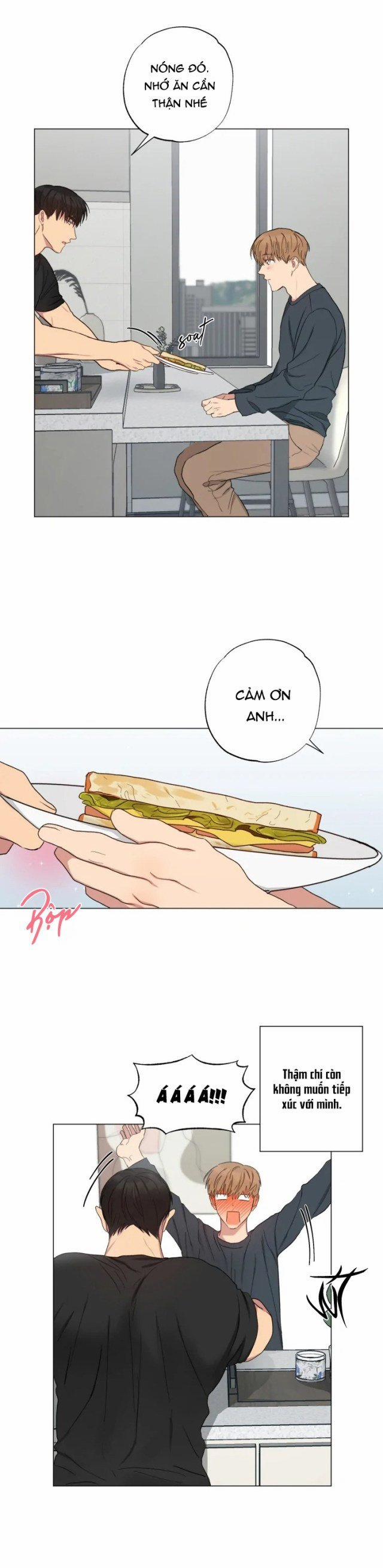 Bắt Đầu Sống Chung 8 trang 2