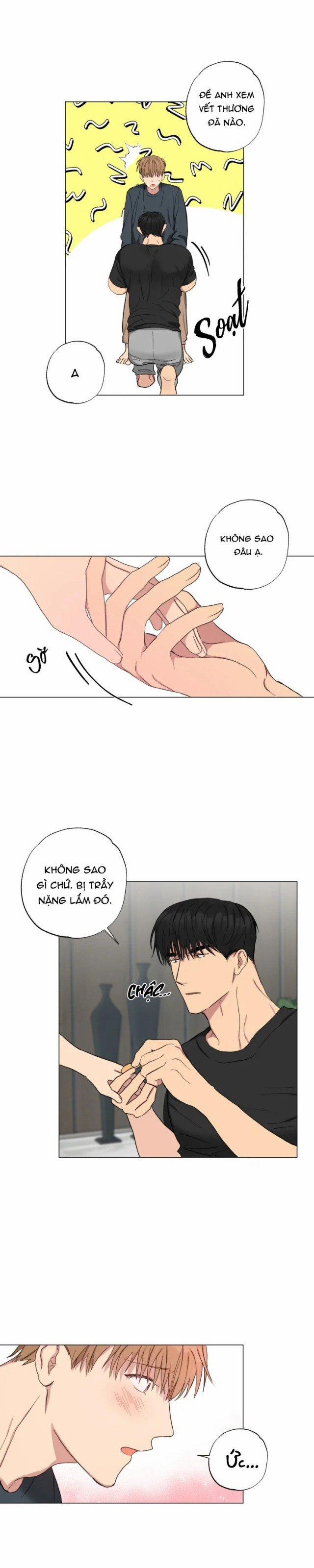 Bắt Đầu Sống Chung 8 trang 5