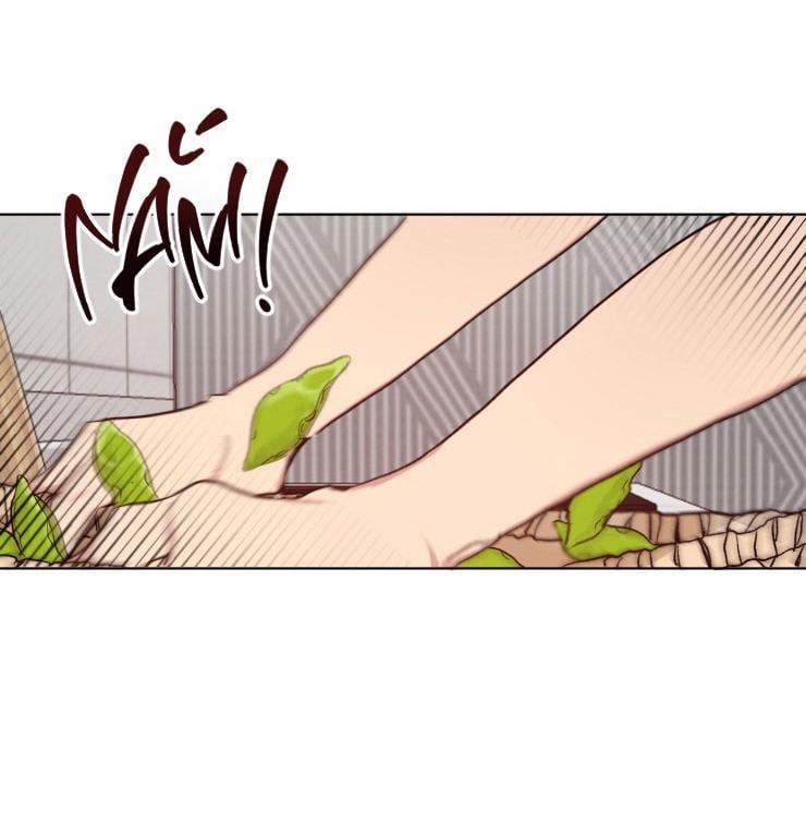 Bắt Đầu Từ Việc Sống Chung 1 trang 14