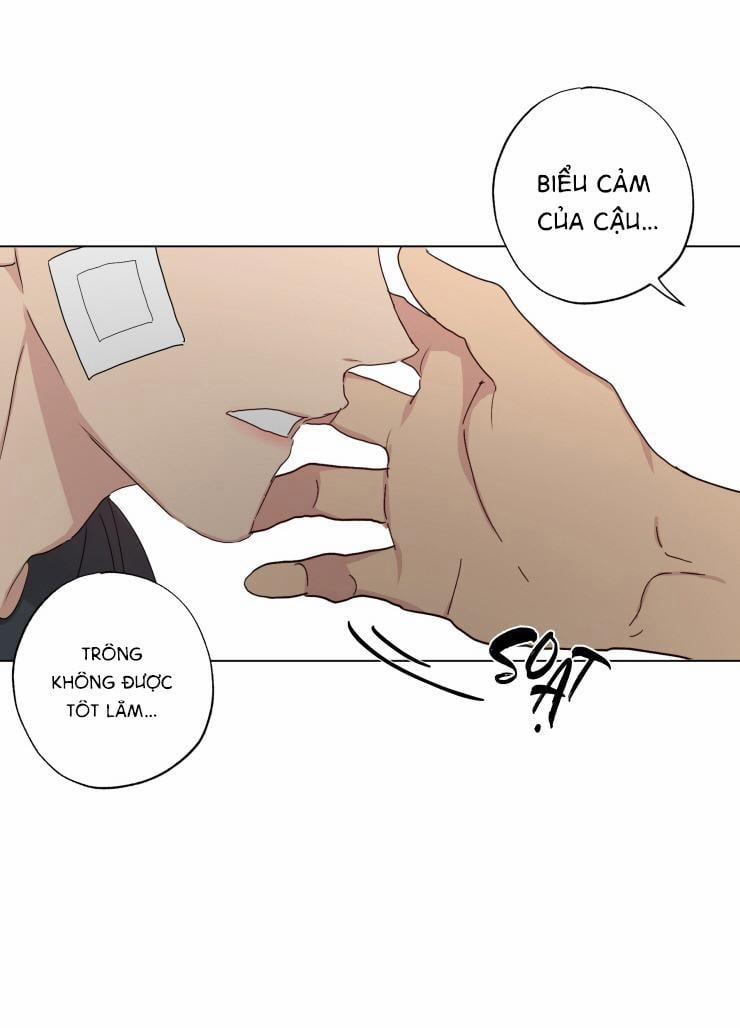 Bắt Đầu Từ Việc Sống Chung 11 trang 7