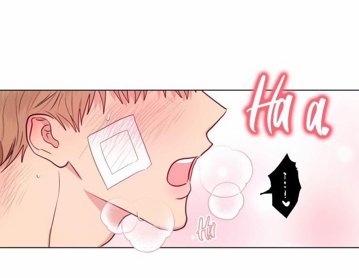 Bắt Đầu Từ Việc Sống Chung 12 trang 53