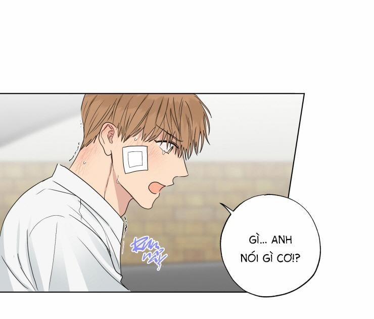 Bắt Đầu Từ Việc Sống Chung 13 trang 12