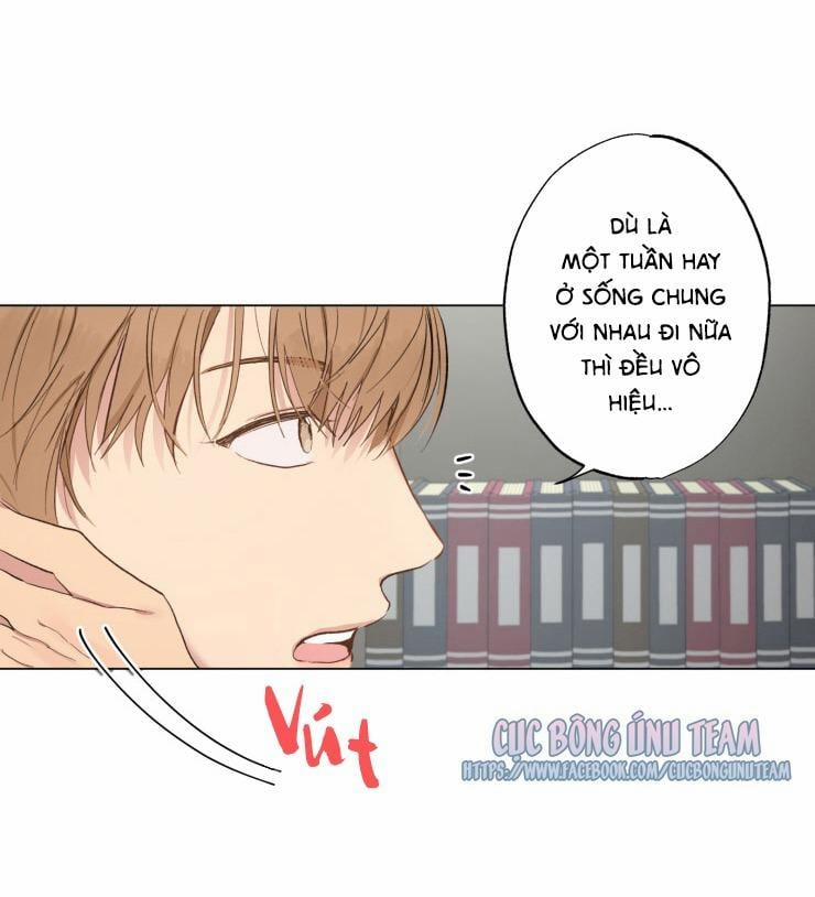 Bắt Đầu Từ Việc Sống Chung 2 trang 10