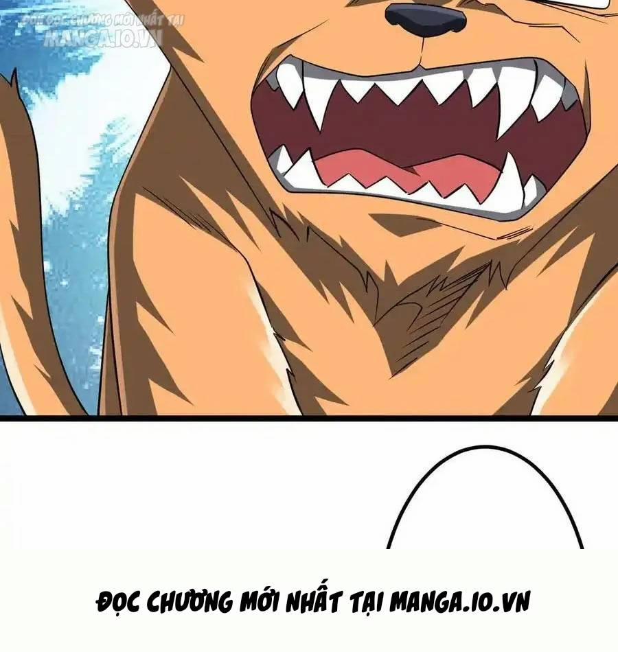 Bắt Đầu Với Trăm Vạn Minh Tệ 149 trang 55