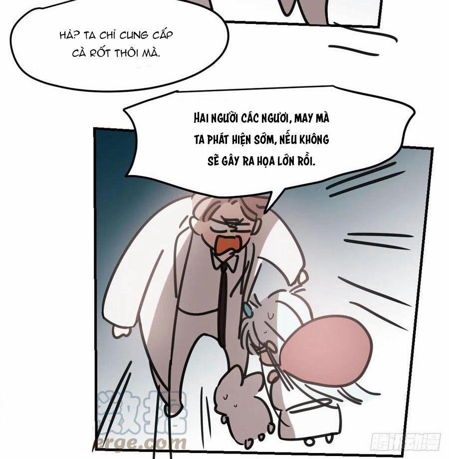 Bắt Lấy Ngao Ngao 151 trang 29