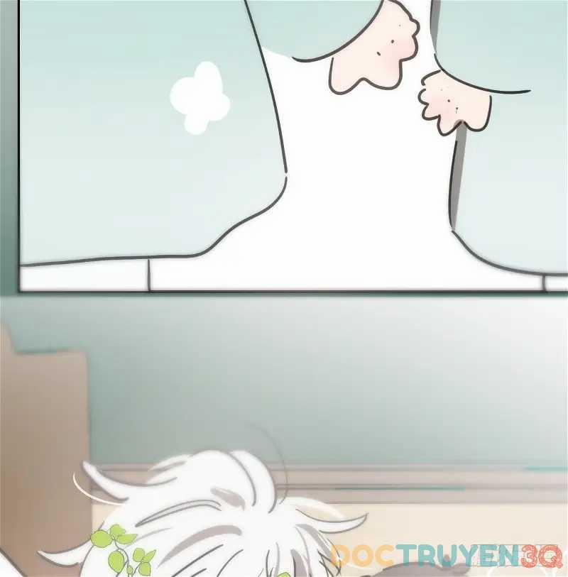 Bắt Lấy Ngao Ngao 266 trang 18