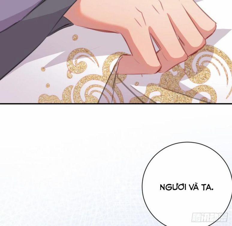 Bất Tảo Triều 42 trang 13