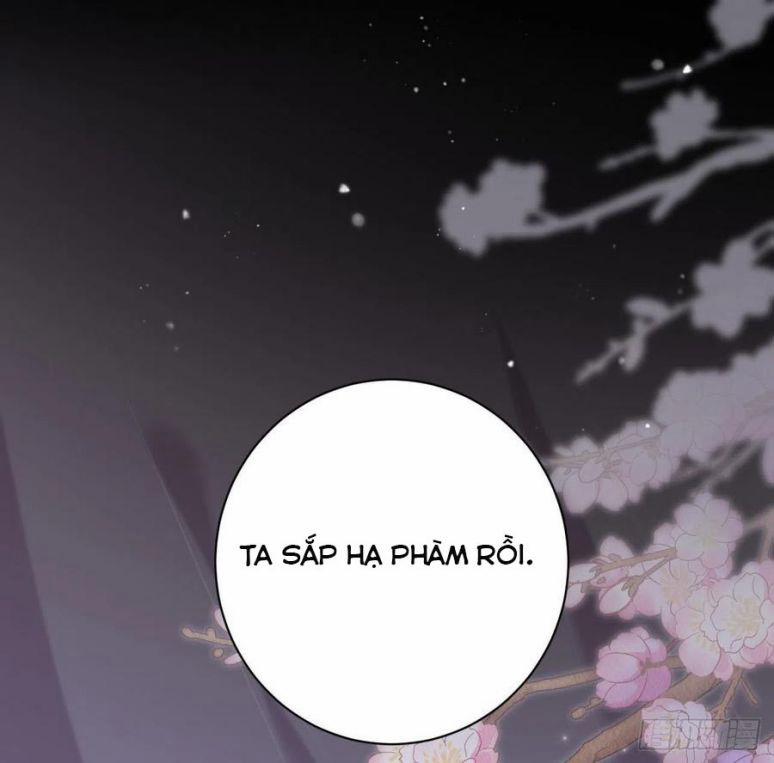 Bất Tảo Triều 42 trang 46