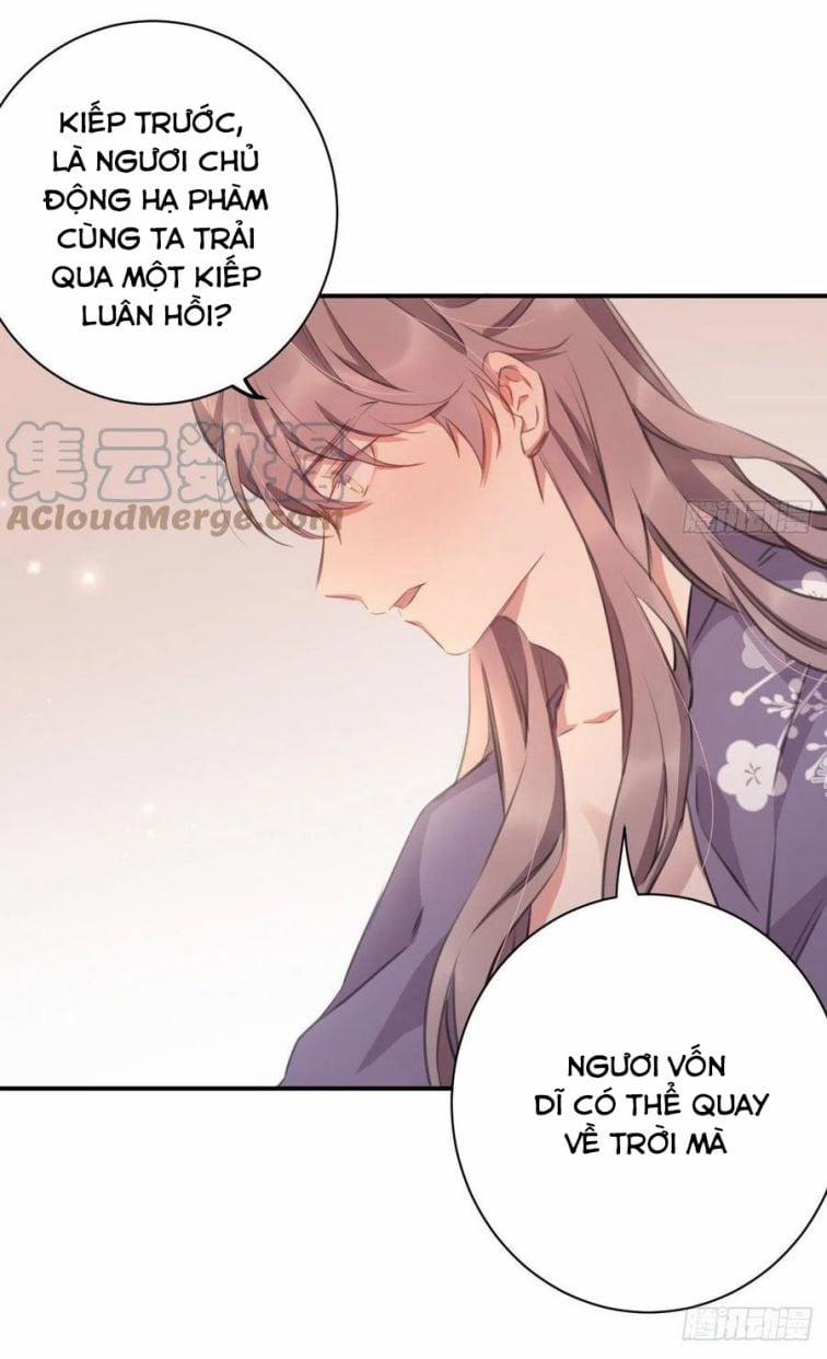 Bất Tảo Triều 52 trang 8