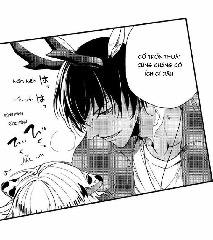 Bắt trọn bữa tiệc 1 trang 5