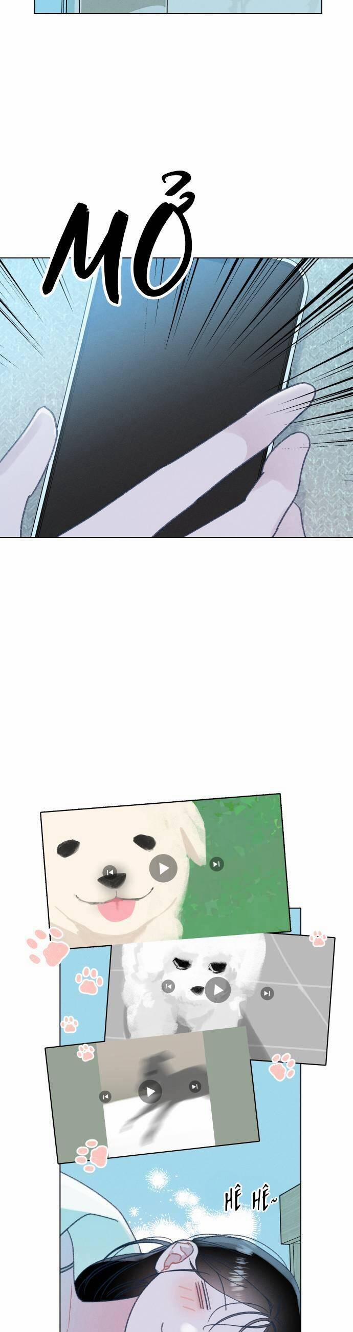 Bầu Trời Mùa Hạ Dấu Yêu 16 trang 6