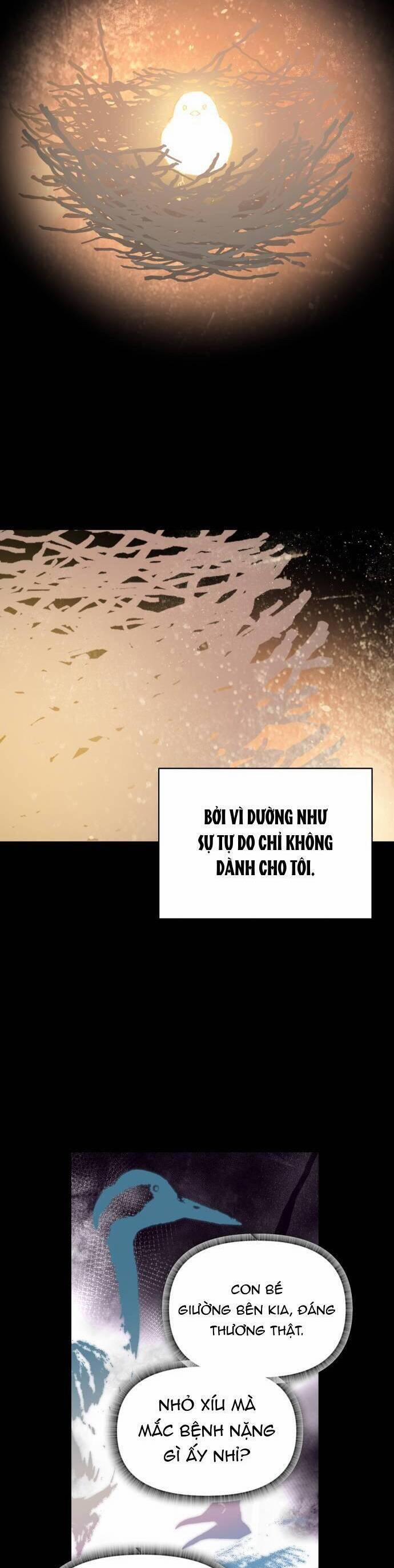 Bầu Trời Mùa Hạ Dấu Yêu 33 trang 2