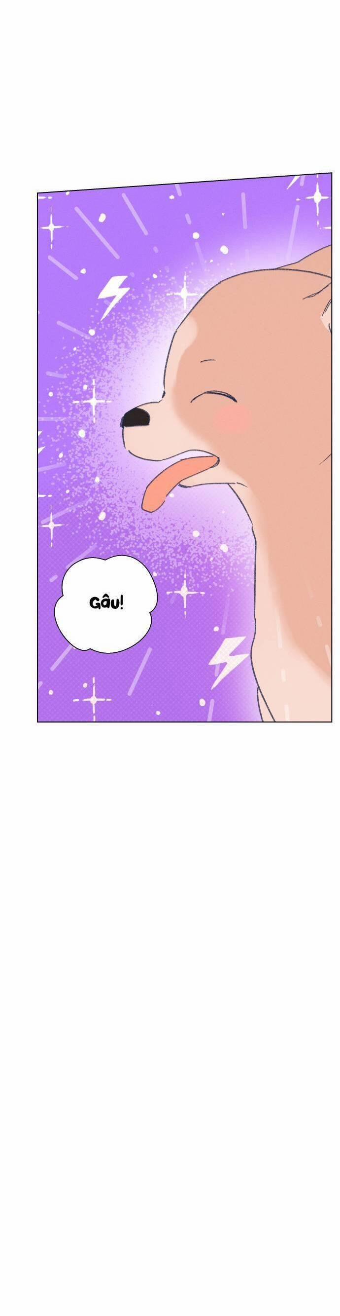 Bầu Trời Mùa Hạ Dấu Yêu 34 trang 4