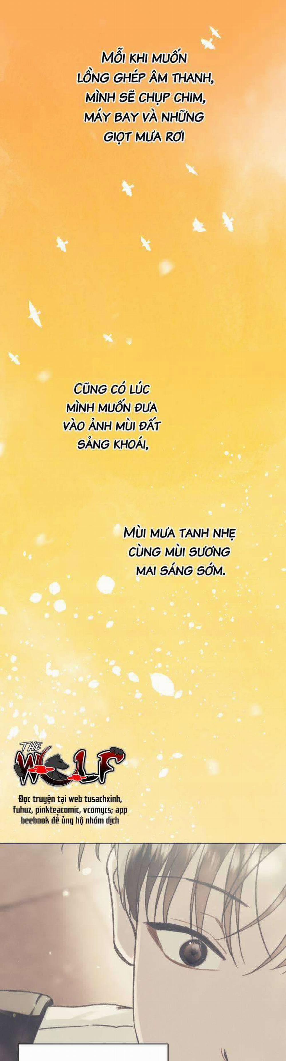 Bầu Trời Mùa Hạ Dấu Yêu 9 trang 17