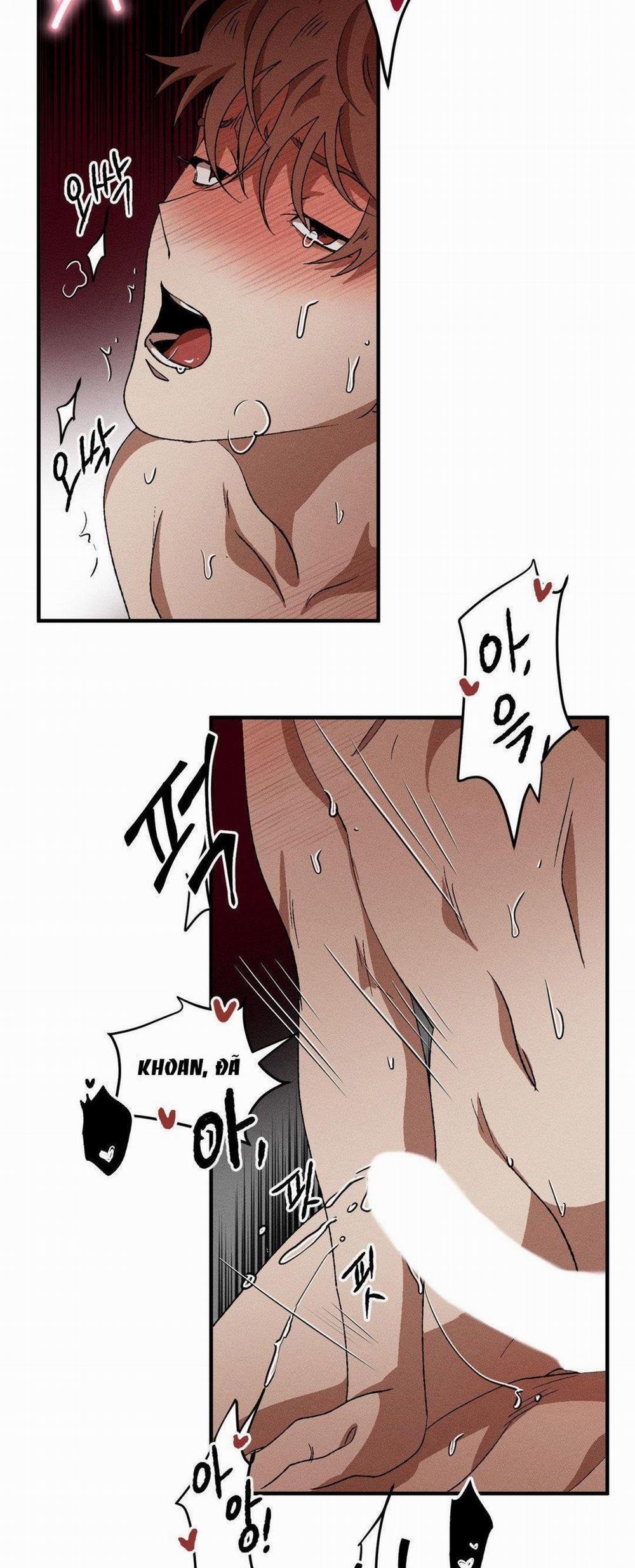 Bẫy Kép 31.1 trang 12