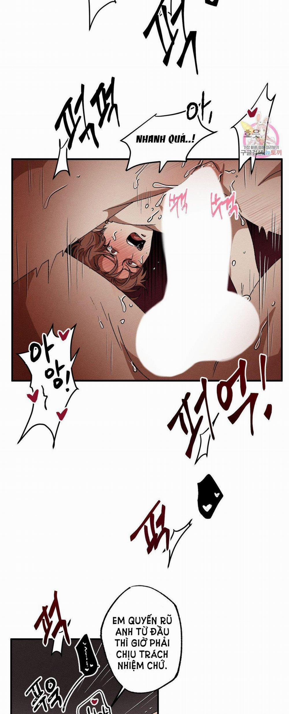 Bẫy Kép 31.1 trang 13