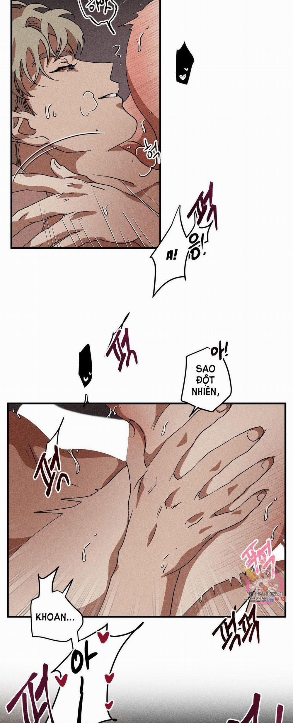 Bẫy Kép 31.1 trang 14