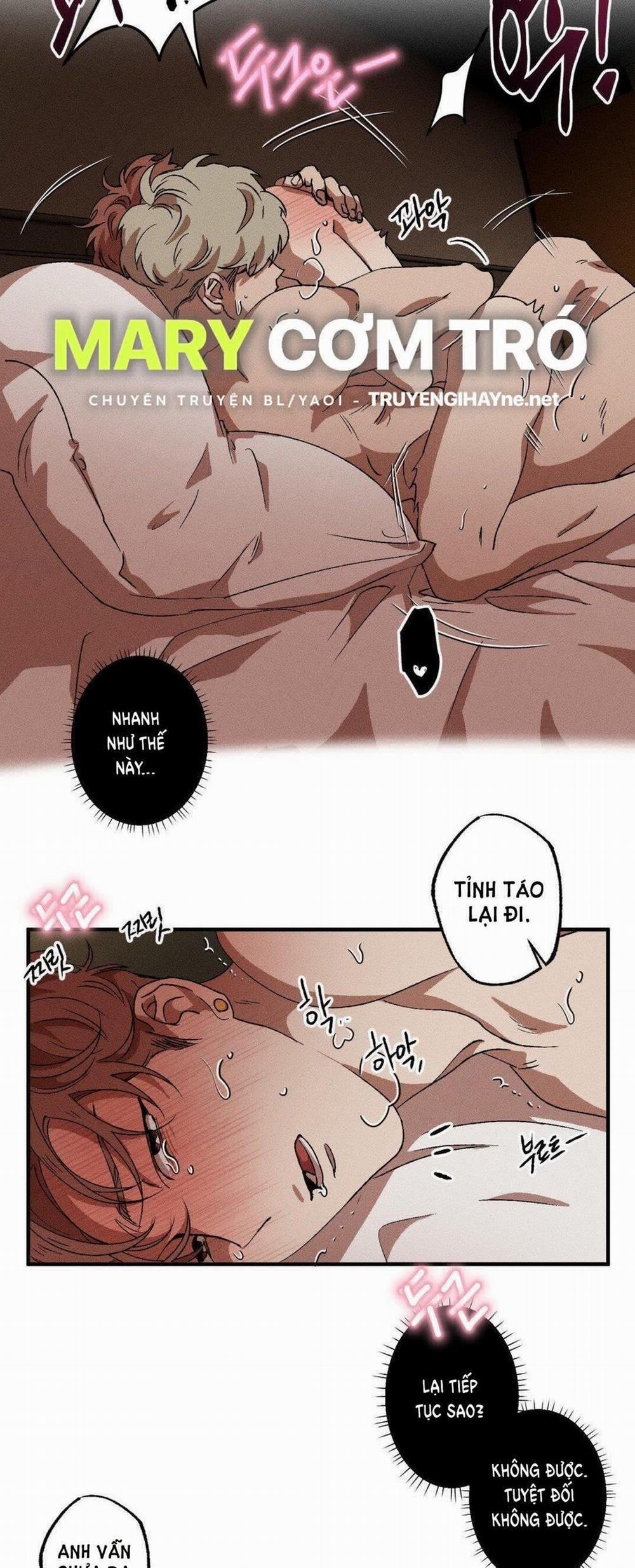 Bẫy Kép 31.1 trang 15