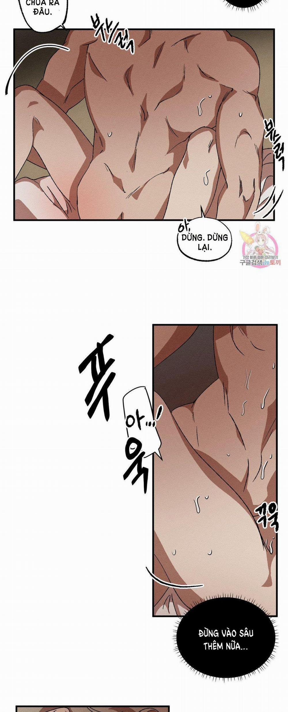 Bẫy Kép 31.1 trang 16