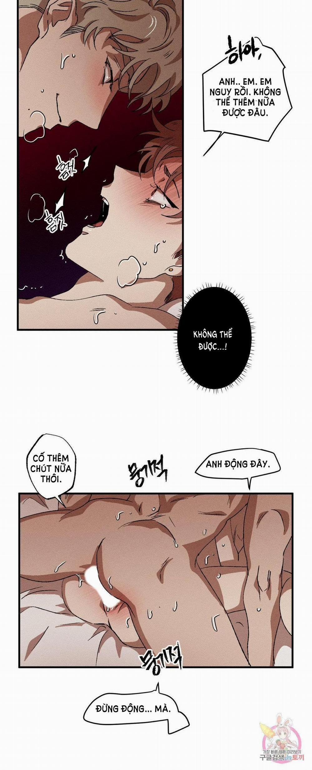 Bẫy Kép 31.1 trang 17