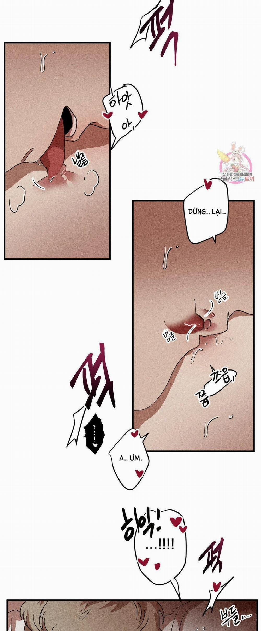 Bẫy Kép 31.1 trang 21