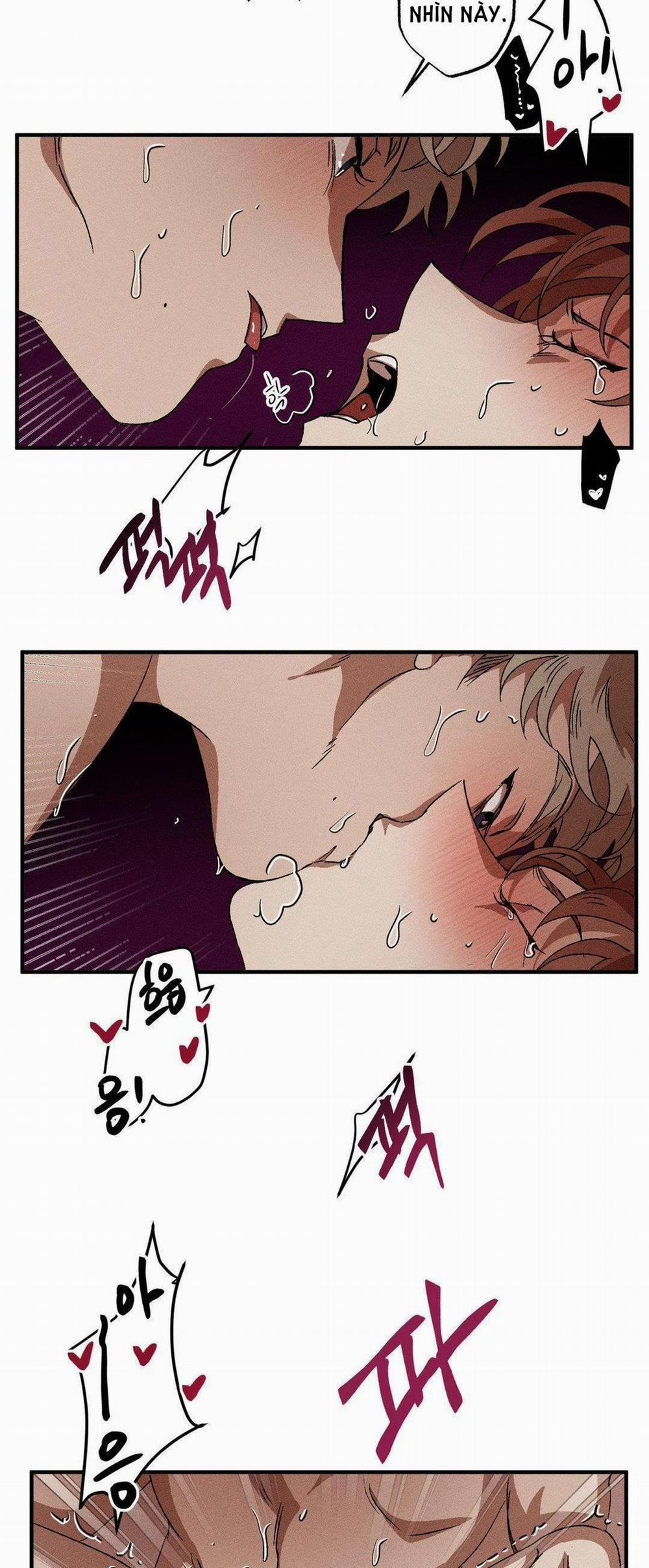 Bẫy Kép 31.1 trang 23