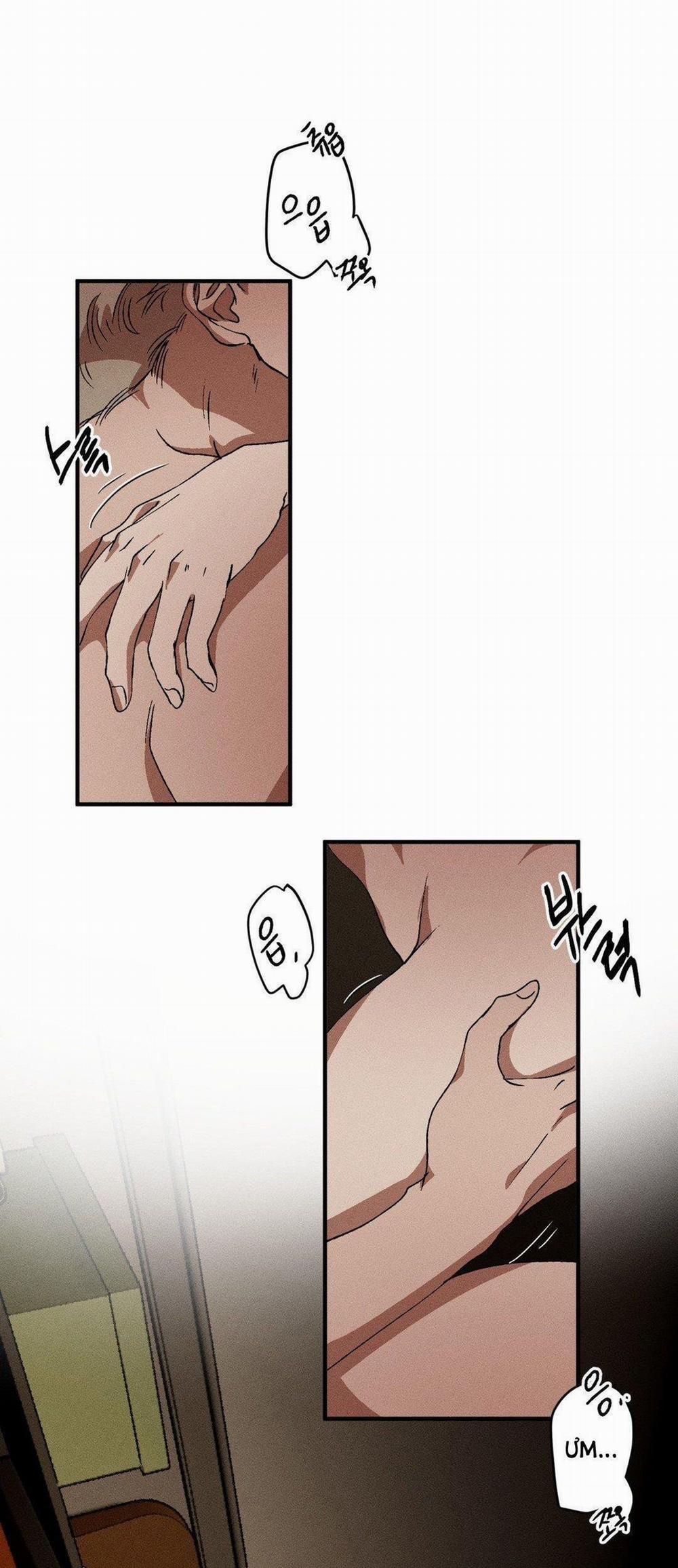 Bẫy Kép 31.1 trang 6