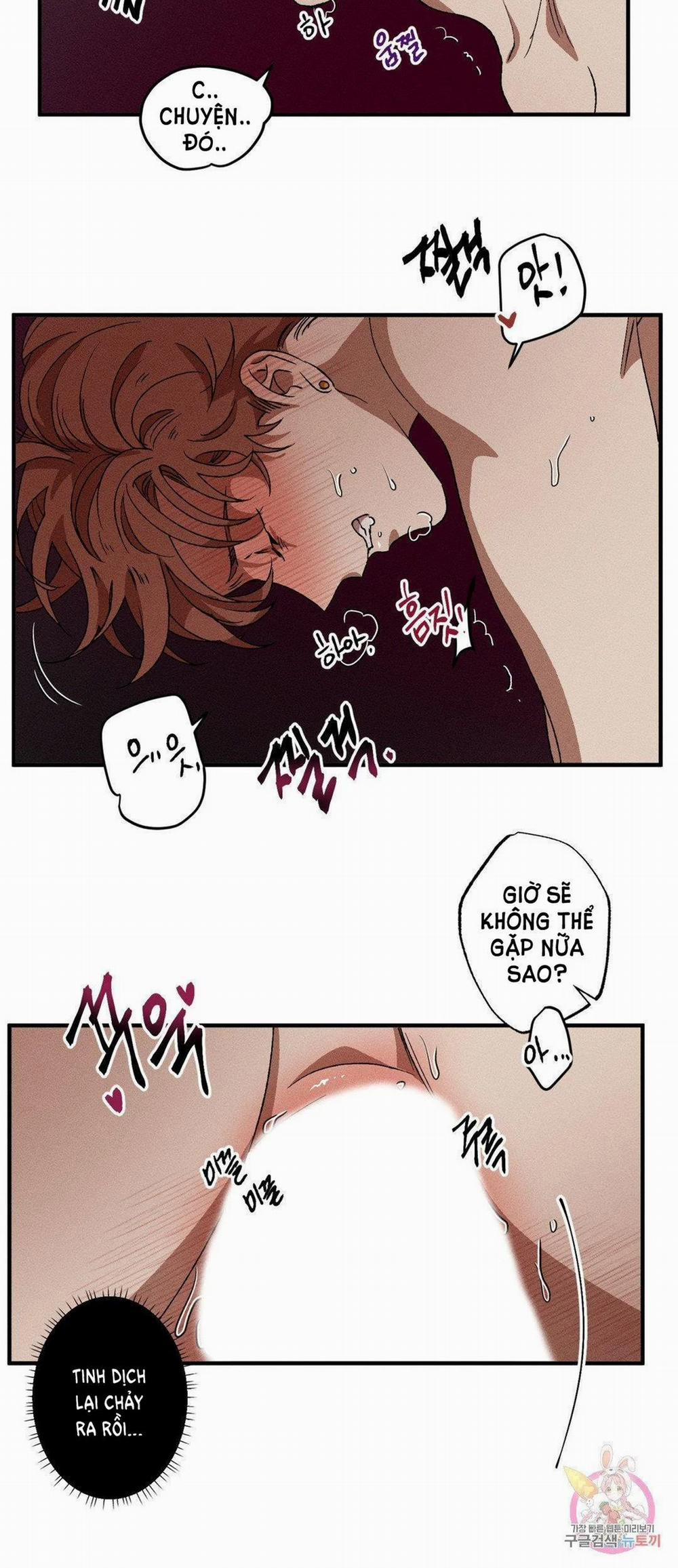 Bẫy Kép 31.1 trang 9