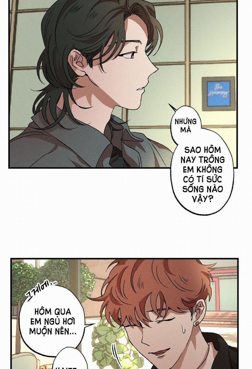 Bẫy Kép 31.2 trang 14