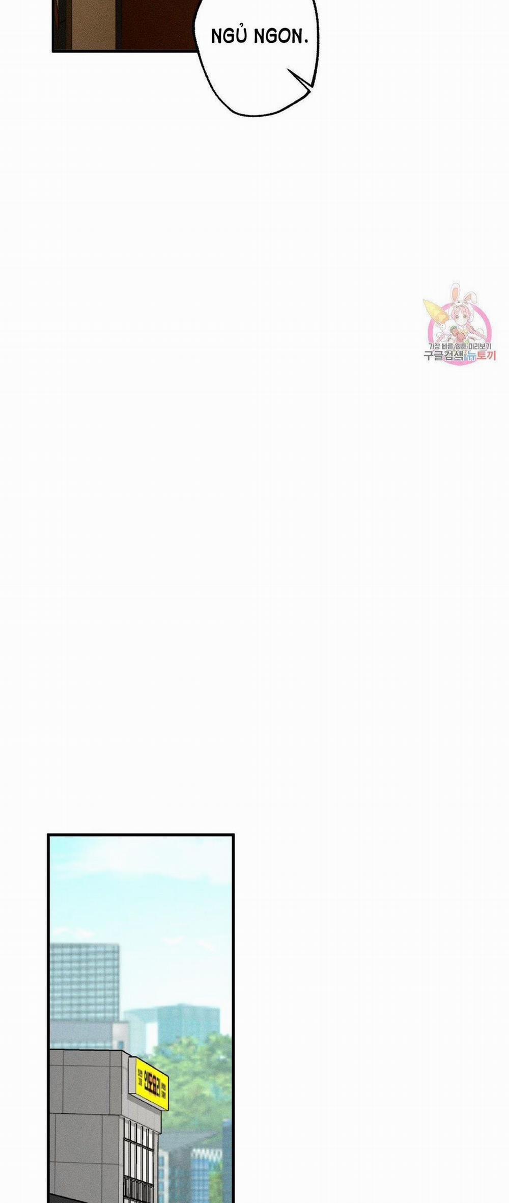 Bẫy Kép 31.2 trang 8