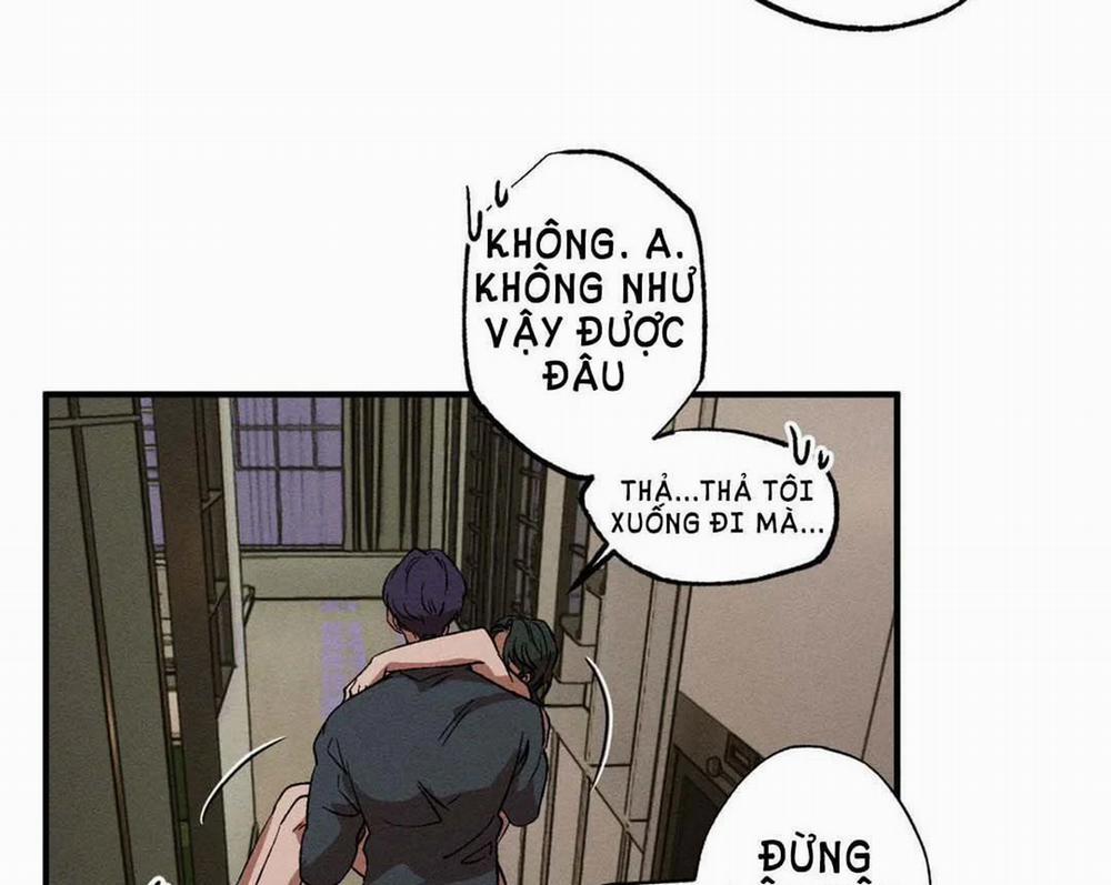 Bẫy Kép 33.2 trang 13