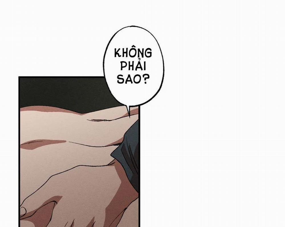 Bẫy Kép 33.2 trang 34