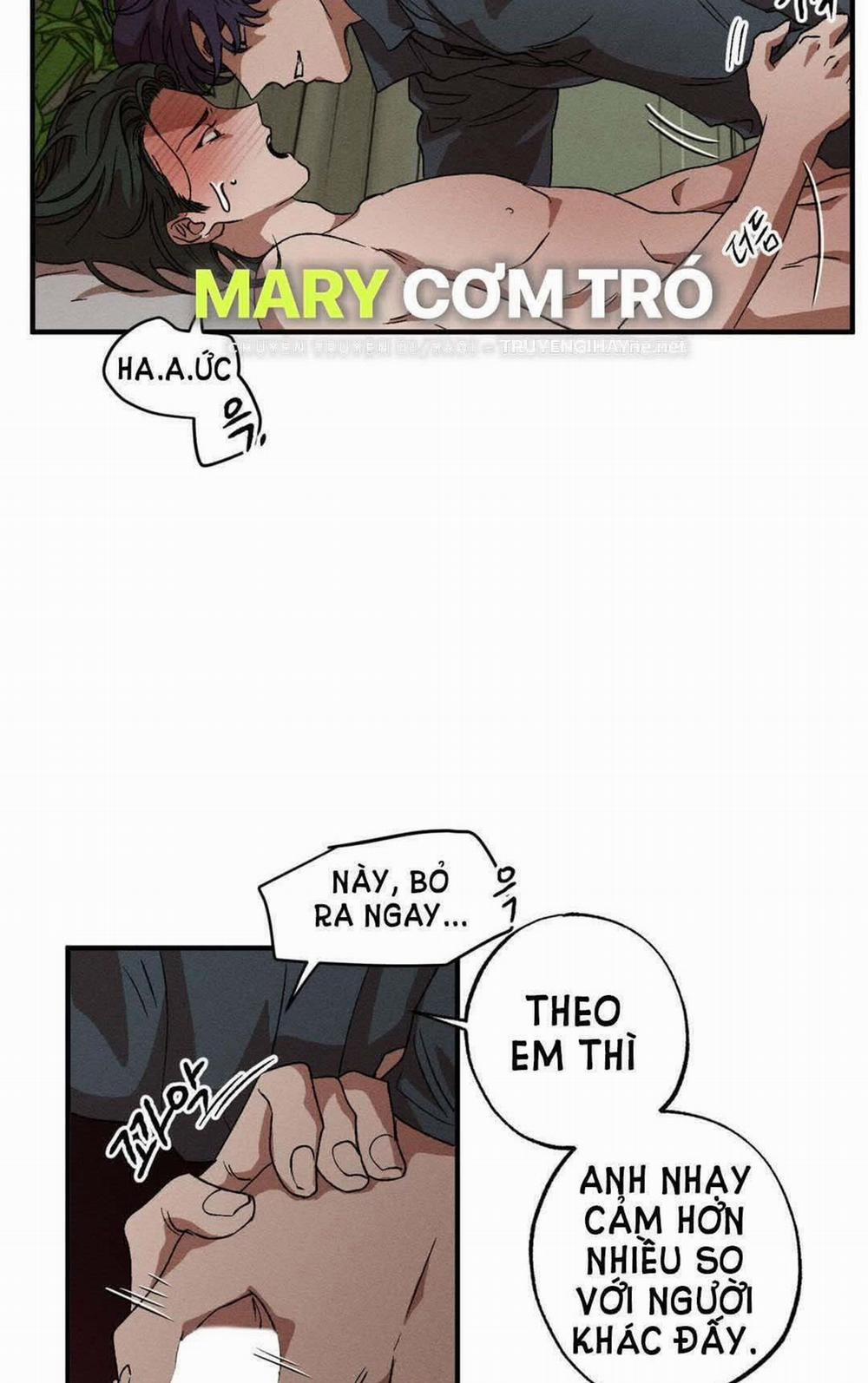 Bẫy Kép 33.2 trang 43