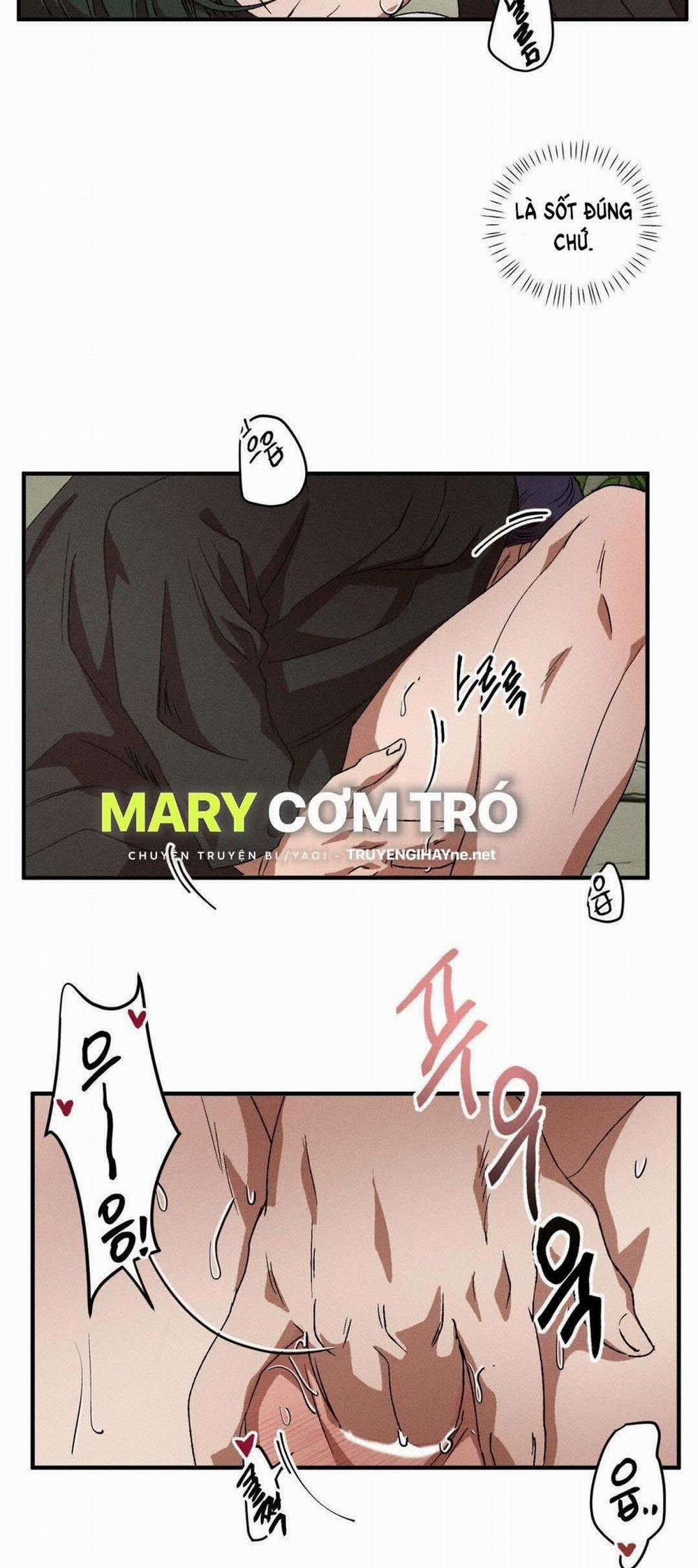 Bẫy Kép 37.1 trang 15