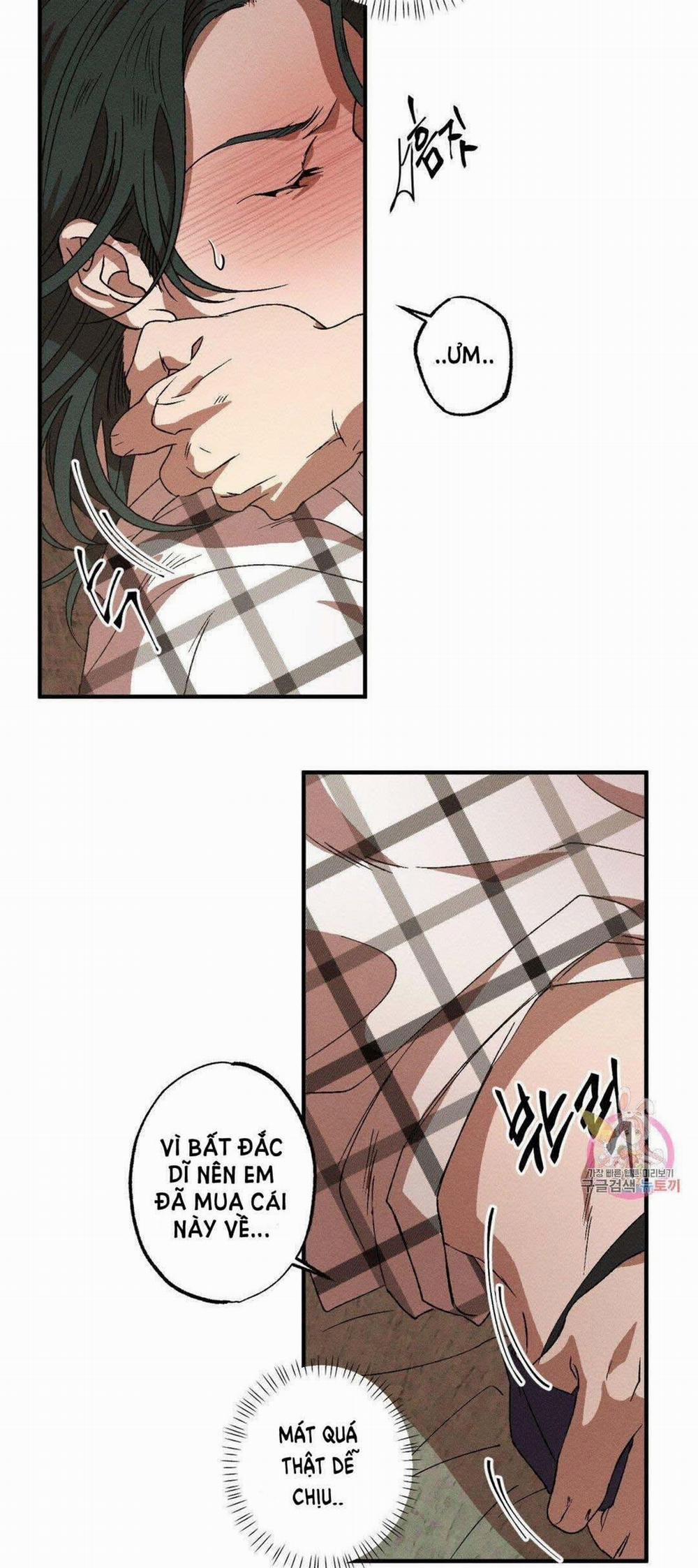 Bẫy Kép 37.1 trang 3